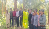  مانور مبارزه و پیشگیری ازآفت سوسک سرخرطومی حنایی خرما در فهرج برگزار شد